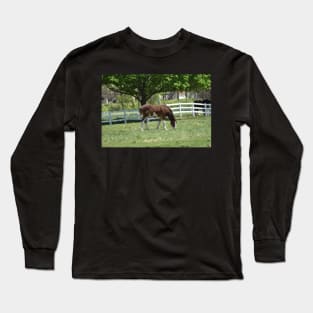 Clydesdale Long Sleeve T-Shirt